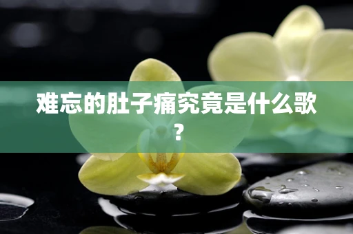 难忘的肚子痛究竟是什么歌？