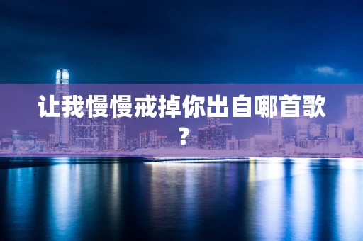 让我慢慢戒掉你出自哪首歌？
