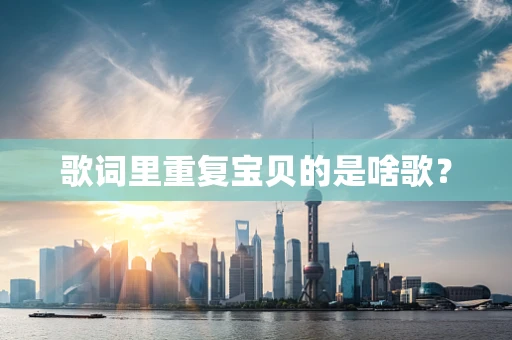 歌词里重复宝贝的是啥歌？