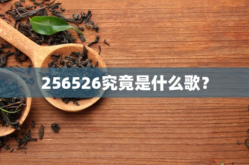 256526究竟是什么歌？