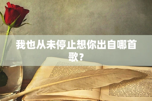我也从未停止想你出自哪首歌？
