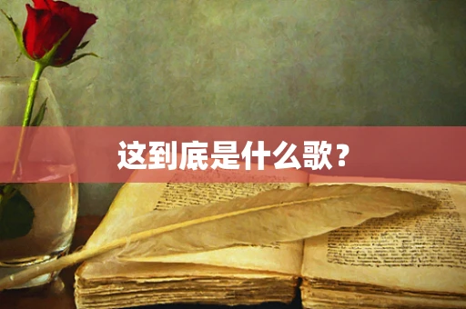 这到底是什么歌？