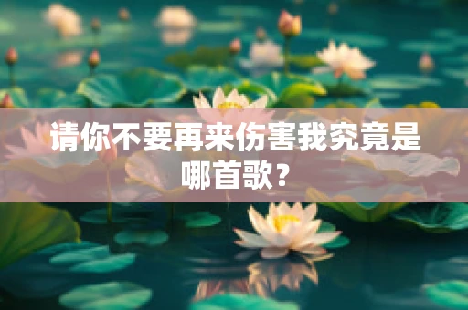 请你不要再来伤害我究竟是哪首歌？