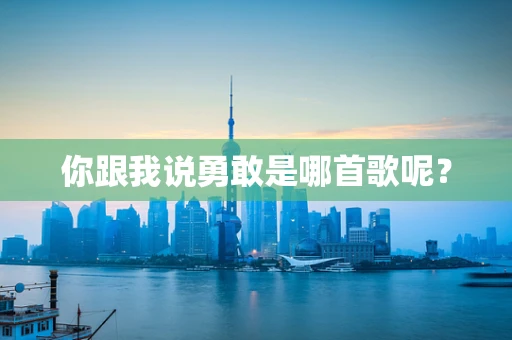 你跟我说勇敢是哪首歌呢？