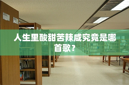人生里酸甜苦辣咸究竟是哪首歌？