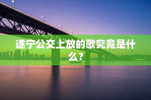 遂宁公交上放的歌究竟是什么？