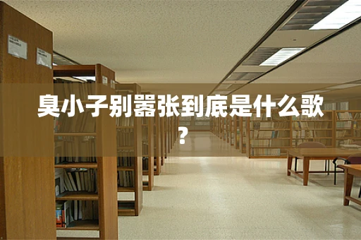 臭小子别嚣张到底是什么歌？