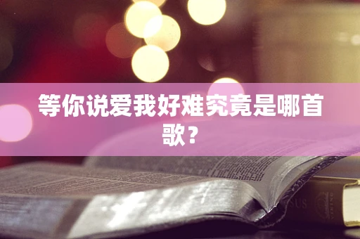 等你说爱我好难究竟是哪首歌？