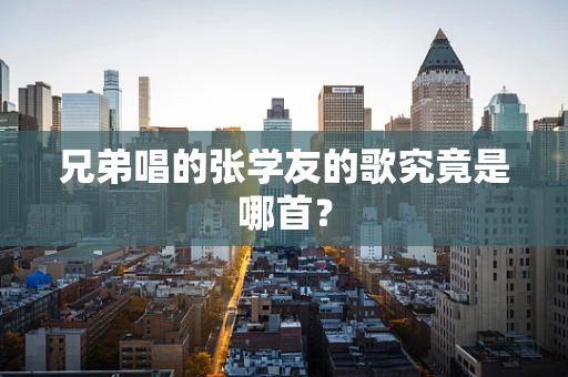 兄弟唱的张学友的歌究竟是哪首？