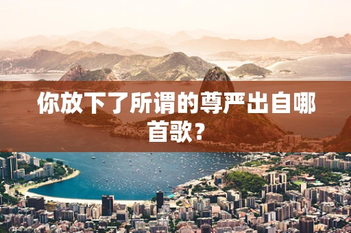 你放下了所谓的尊严出自哪首歌？