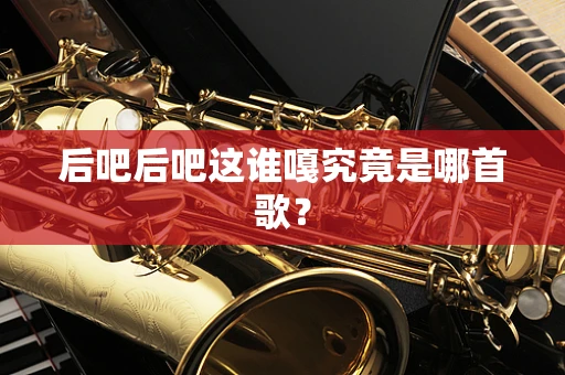 后吧后吧这谁嘎究竟是哪首歌？
