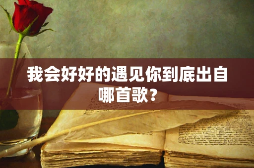 我会好好的遇见你到底出自哪首歌？