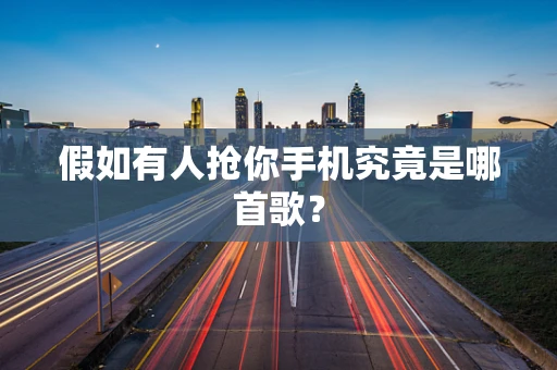 假如有人抢你手机究竟是哪首歌？