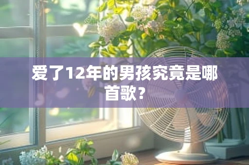 爱了12年的男孩究竟是哪首歌？