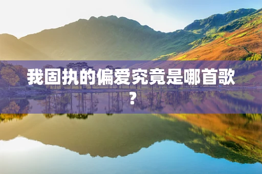 我固执的偏爱究竟是哪首歌？