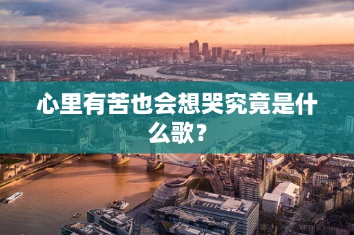 心里有苦也会想哭究竟是什么歌？