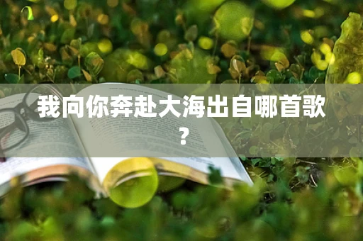 我向你奔赴大海出自哪首歌？