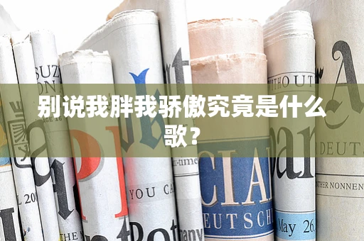 别说我胖我骄傲究竟是什么歌？