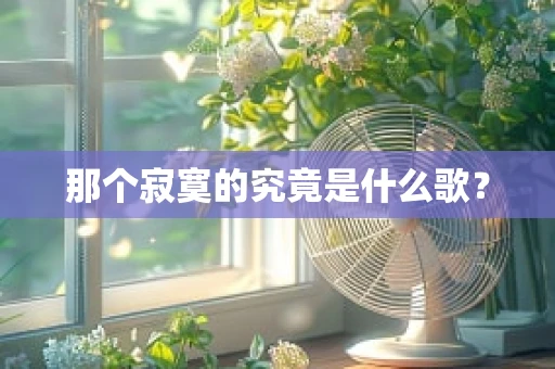 那个寂寞的究竟是什么歌？