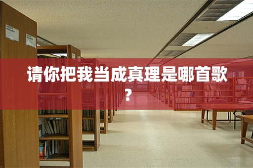 请你把我当成真理是哪首歌？
