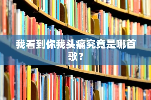 我看到你我头痛究竟是哪首歌？