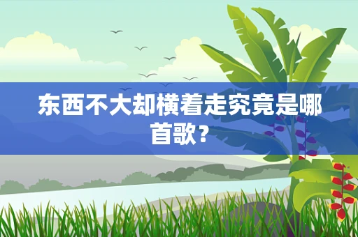 东西不大却横着走究竟是哪首歌？