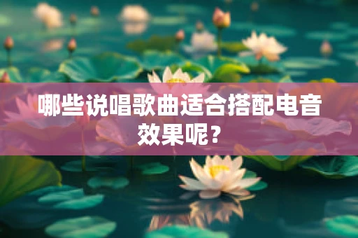 哪些说唱歌曲适合搭配电音效果呢？