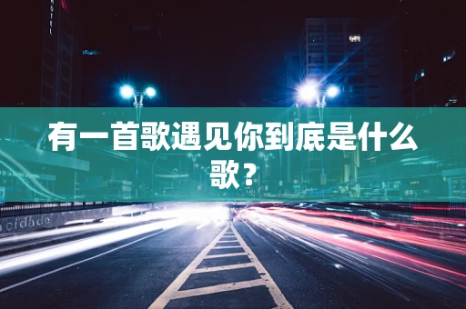 有一首歌遇见你到底是什么歌？