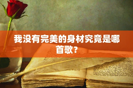 我没有完美的身材究竟是哪首歌？