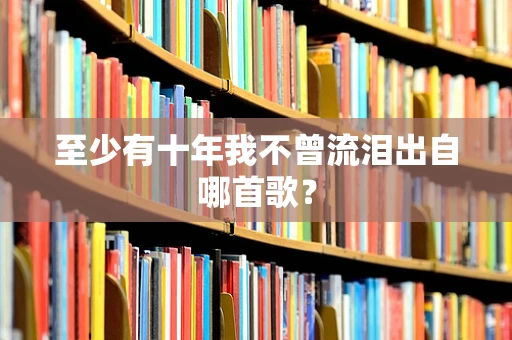 至少有十年我不曾流泪出自哪首歌？