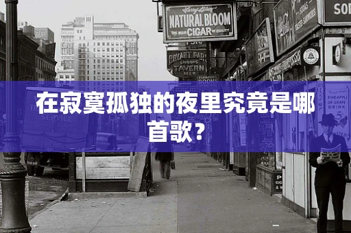 在寂寞孤独的夜里究竟是哪首歌？