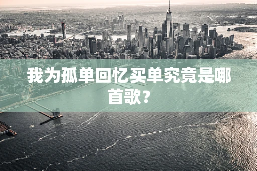 我为孤单回忆买单究竟是哪首歌？