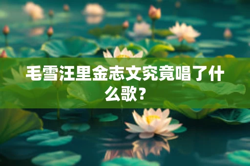 毛雪汪里金志文究竟唱了什么歌？