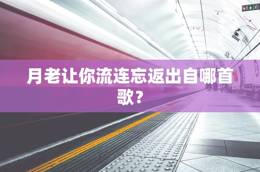 月老让你流连忘返出自哪首歌？
