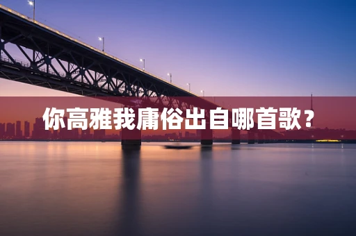 你高雅我庸俗出自哪首歌？