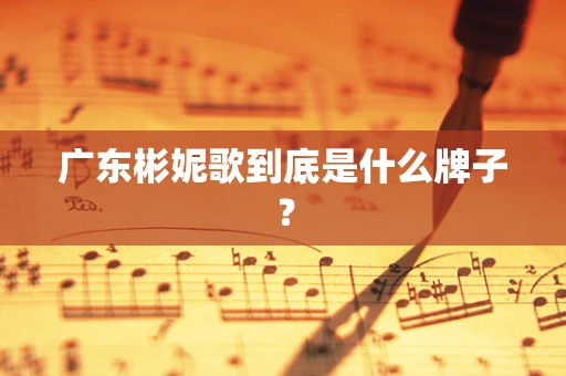 广东彬妮歌到底是什么牌子？