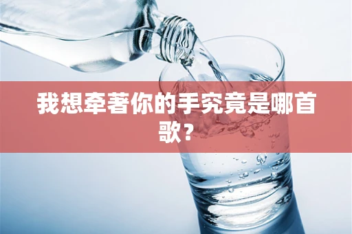 我想牵著你的手究竟是哪首歌？