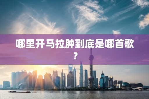 哪里开马拉肿到底是哪首歌？