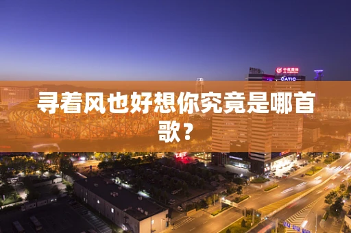 寻着风也好想你究竟是哪首歌？