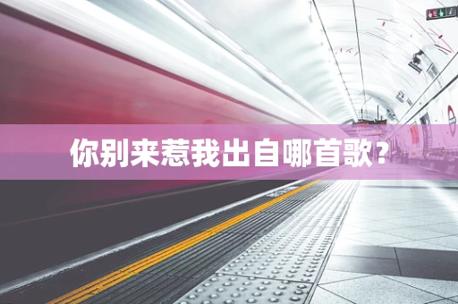 你别来惹我出自哪首歌？