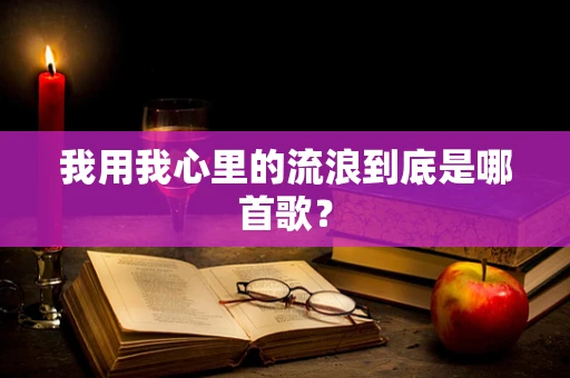 我用我心里的流浪到底是哪首歌？