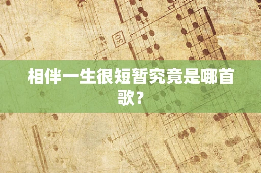 相伴一生很短暂究竟是哪首歌？