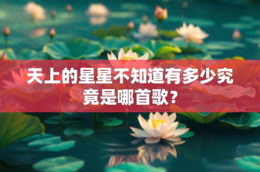天上的星星不知道有多少究竟是哪首歌？