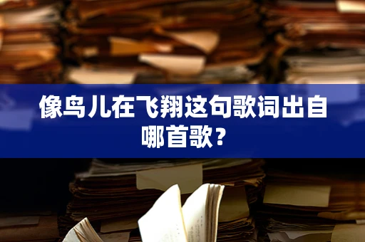 像鸟儿在飞翔这句歌词出自哪首歌？