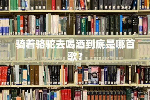 骑着骆驼去喝酒到底是哪首歌？