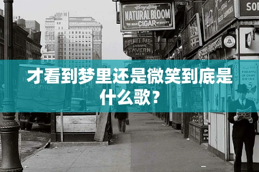 才看到梦里还是微笑到底是什么歌？