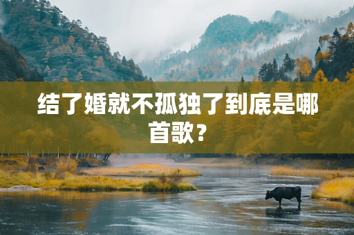 结了婚就不孤独了到底是哪首歌？
