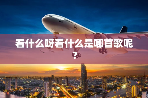 看什么呀看什么是哪首歌呢？