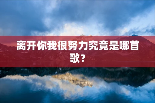 离开你我很努力究竟是哪首歌？