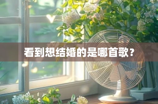 看到想结婚的是哪首歌？